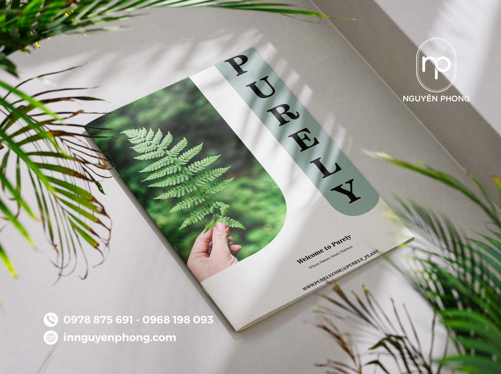 Catalogue về dịch vụ nghỉ dưỡng